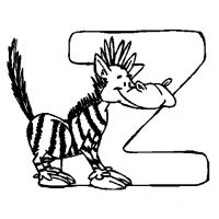   Z