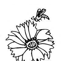 Раскраска пчелка на цветке