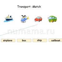 Transport match worksheet