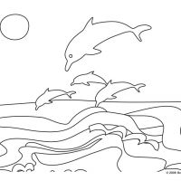 Раскраска море дельфины