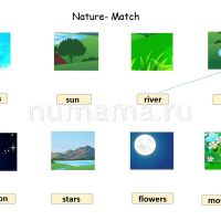 Nature match worksheet