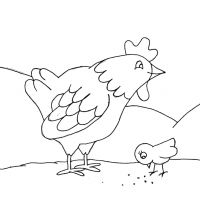 Раскраска курица и цыпленое