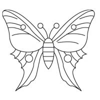 Раскраска бабочка для детей