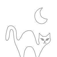 Раскраска ночная кошка