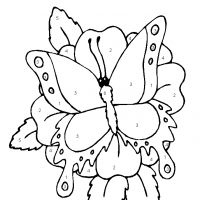 Раскраска бабочка по цифрам