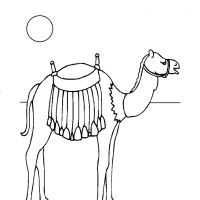 Раскраска верблюд пустыня