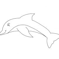 Раскраска дельфин детская
