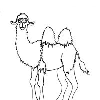 Раскраска верблюд ребенку