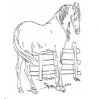 Раскраска со стихами лошадь