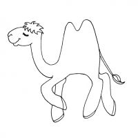 Раскраска верблюд для малыша