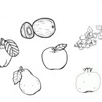 Раскраска фрукты и яблоки