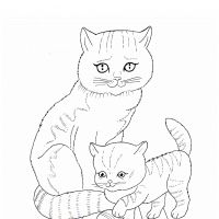 Раскраска кошка и котенок