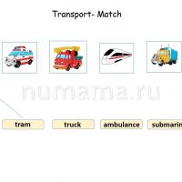 Transport match worksheet2
