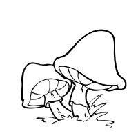 Разукрашка грибы ребенку