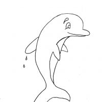 Раскраска дельфин ребенку
