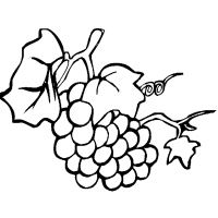 Раскраска виноград детская